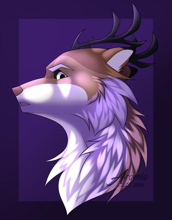 Shaded Headshot