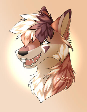 Shaded Headshot
