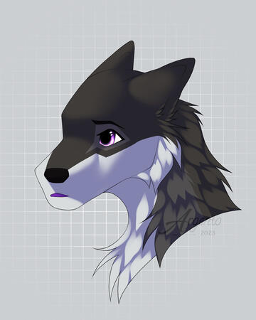 Shaded Headshot